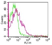 Monoclonal Antibody to mouse MHC Class II (I-A/I-E) (Clone: M5/114)-NALE